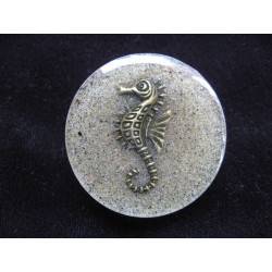 Large fantasy ring, hippocampus bronze, on a resin sand background